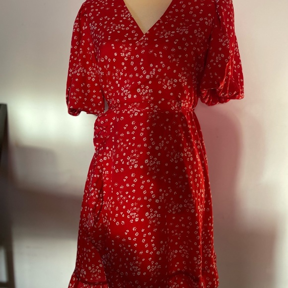 Red Dress - Picture 14 of 16